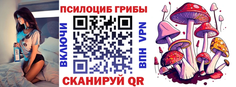 Купить закладки  Алексин  Галлюциногенные грибы мухоморы 